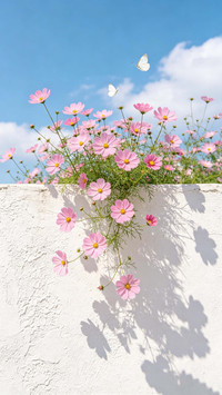 花墙上的春天