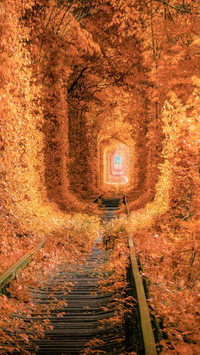 Railway and Tunnel from Trees in Autumn Colors