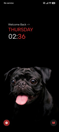 Black Pug