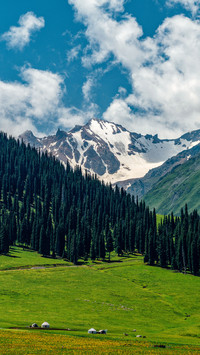 The most beautiful scenery in summer 47