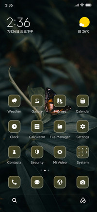 Butterfly