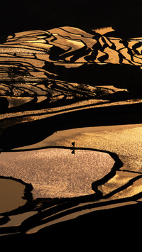Ink Wash Terraced Fields