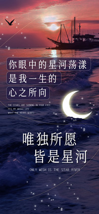 唯独所愿皆是星河