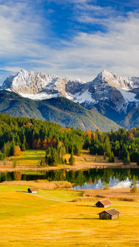 Landscape vegetation