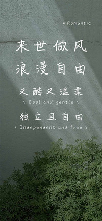 来世做风浪漫自由