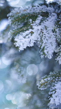 How ancient people lived elegantly through winter 2
