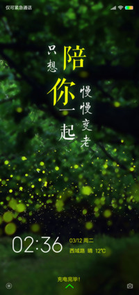 仲夏夜