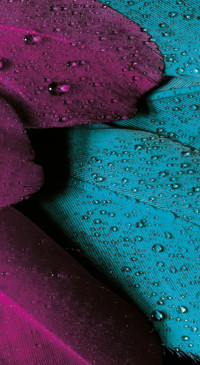 Droplets (42)