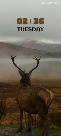 Hill Deer