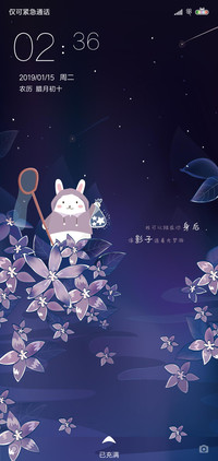 追光兔
