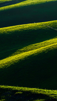 The light and shadow of the grassland in the morning