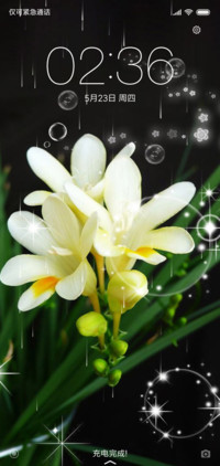 百合花开