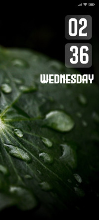 Leaf Drops