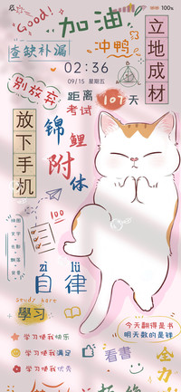 光影特效祈祷猫