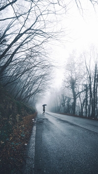road (8)