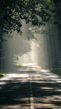 road (11)