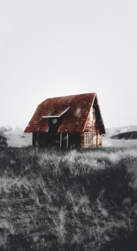 Mystery (36)