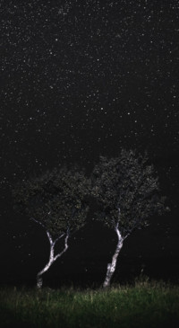 Mystery (43)