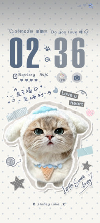 INS海盐贴纸小猫