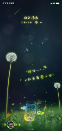 萤火之夜 护目