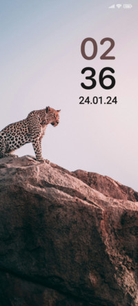 Jungle Safari