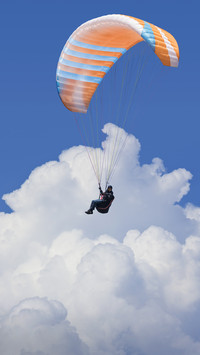 History of gliding 50