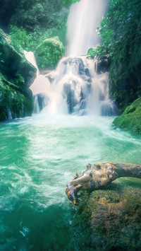 A secluded waterfall and ancient vines