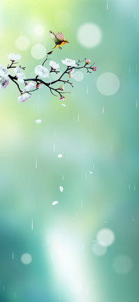 春分