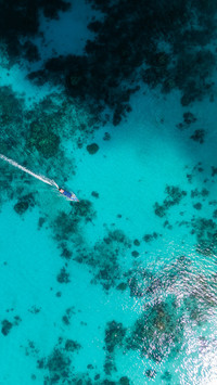 Coral reef sailing in a tropical lagoon