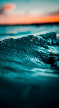Macro Photography (40)