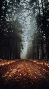 Nature B5