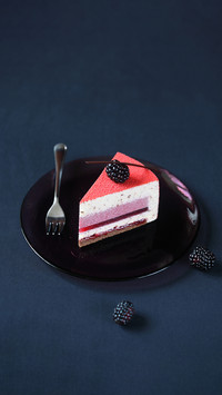 Can you make mousse cake 8