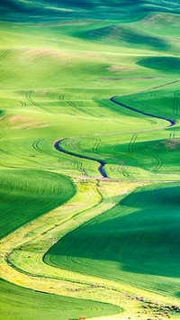Green fields