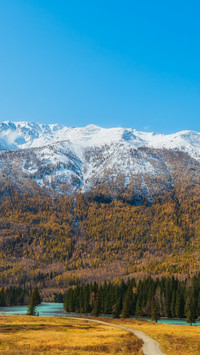 The morning light of kanas paints the autumn forest