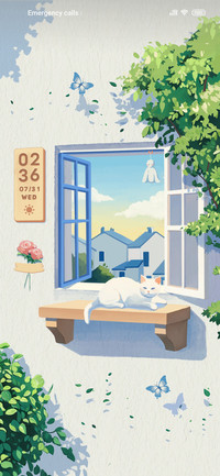 Window story
