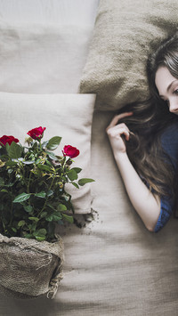 international-rose