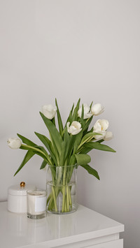 White tulips in a glass vase on a white table