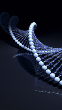 DNA Molecules Structure