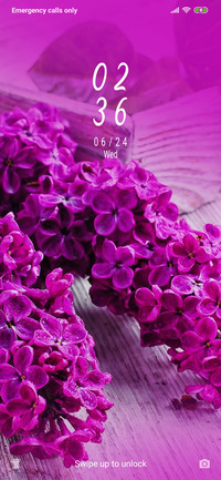 Lilac flower_3MDS
