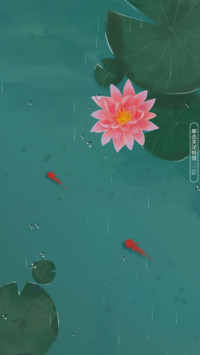 荷塘·锦鲤