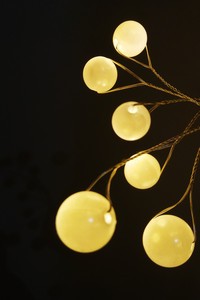 Golden pearls.jpg