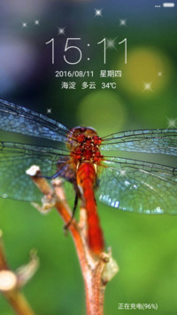 红蜻蜓