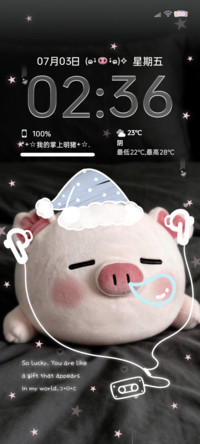 ins氛围感软软小猪