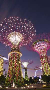 Marina Bay Garden 9