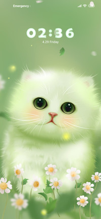 Little Daisy Kitty