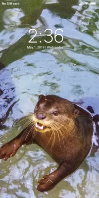 Animal Planet_DWM2