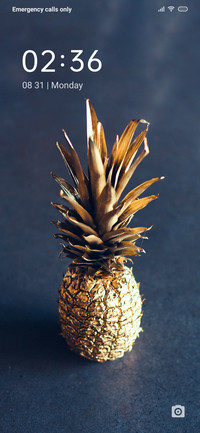 PineApple