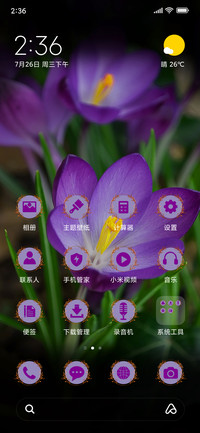 Crocus_3MDP