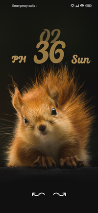 squirrel