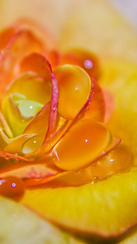 raindrops (15)